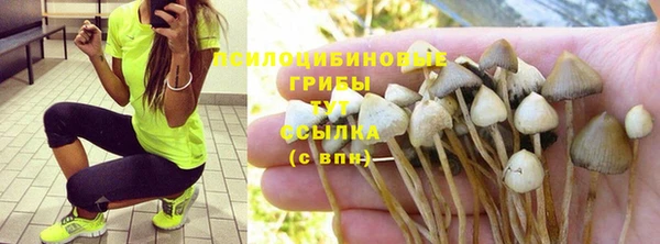кокаин колумбия Богданович