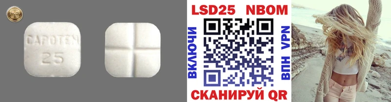 где найти наркотики  Конаково  дарк нет Telegram  ЛСД экстази кислота 
