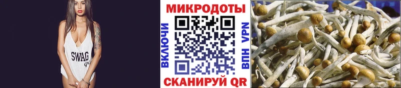 Галлюциногенные грибы Magic Shrooms  KRAKEN   Конаково  закладки 